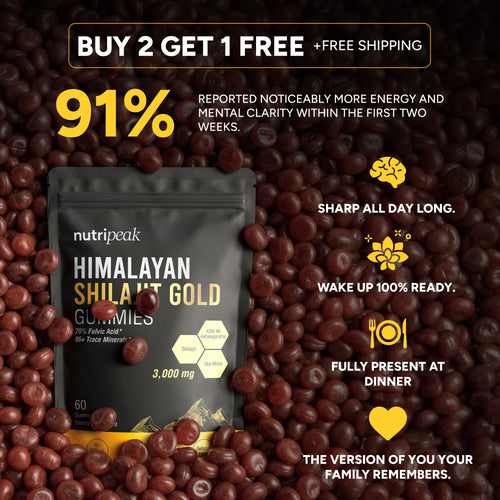 Himalayan Shilajit Gummies