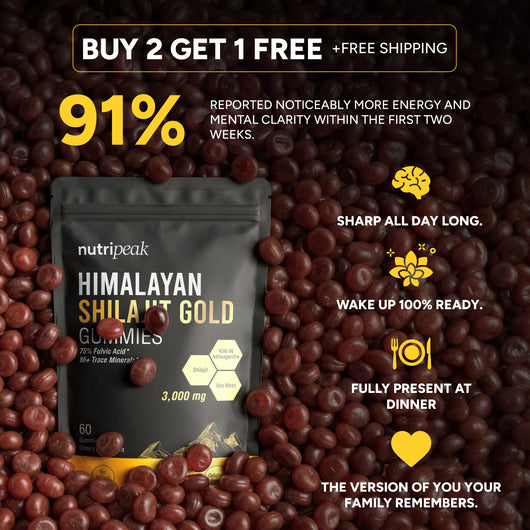 Himalayan Shilajit Gummies
