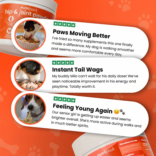 Pet Hip & Joint Powder