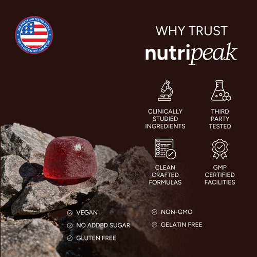 Himalayan Shilajit Gummies
