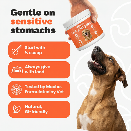 Pet Hip & Joint Powder