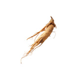 Gokshura Extract