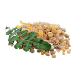Boswellia Serrata Extract