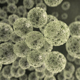 FOS Prebiotics