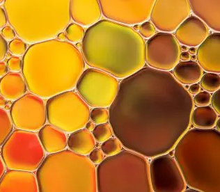 Oregano Oil