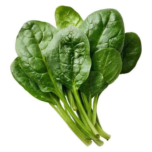4X more iron than spinach